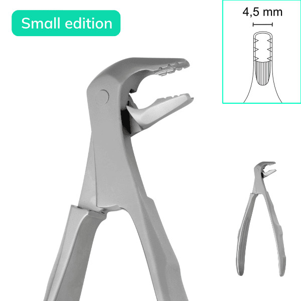 GES F-Line #13 small edition, lower jaw