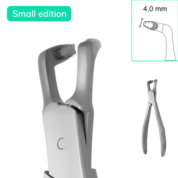 GES F-Line #79 small edition, lower jaw