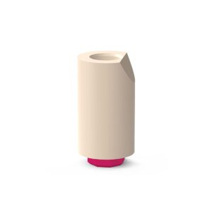 Scan abutment internal octagon