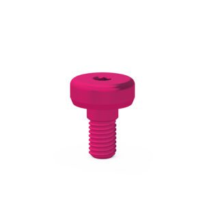 Cover screw internal octagon Ø 4.8 2mmL